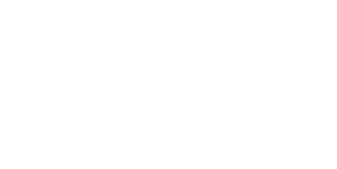 arm